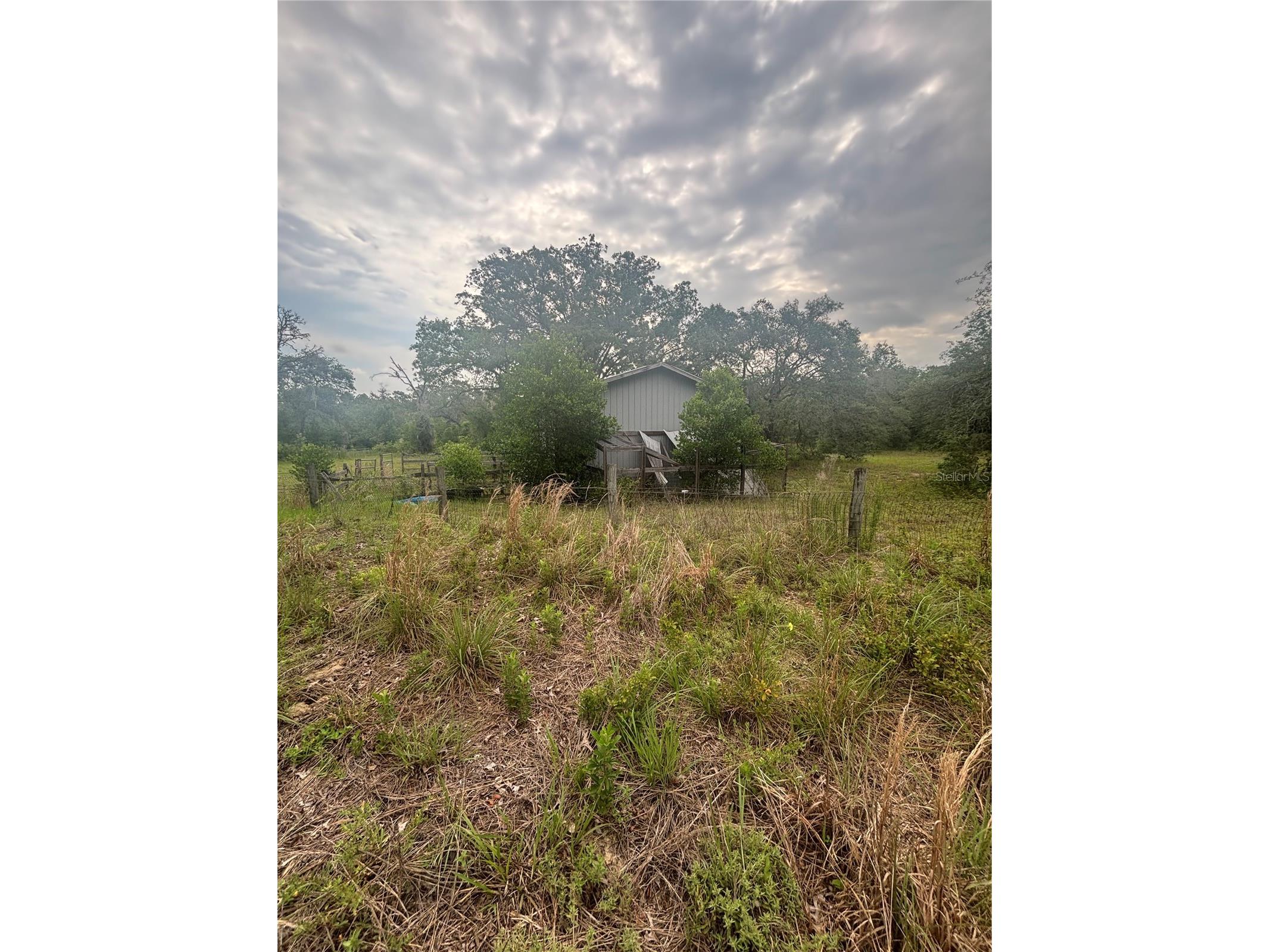 18890 SW 44th Street Dunnellon FL 34432 OM725952 image14