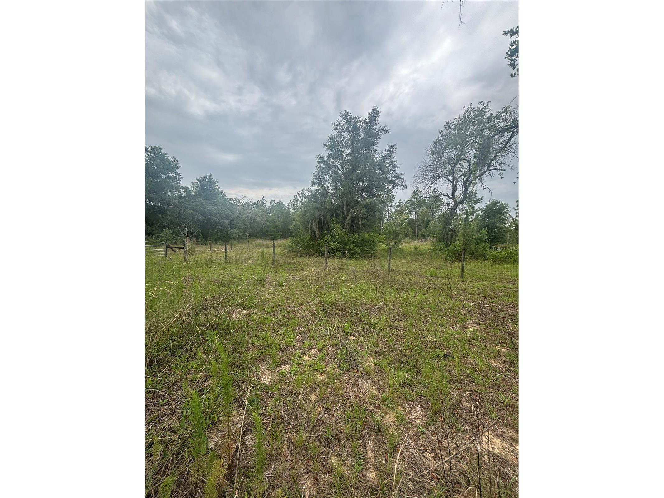 18890 SW 44th Street Dunnellon FL 34432 OM725952 image15
