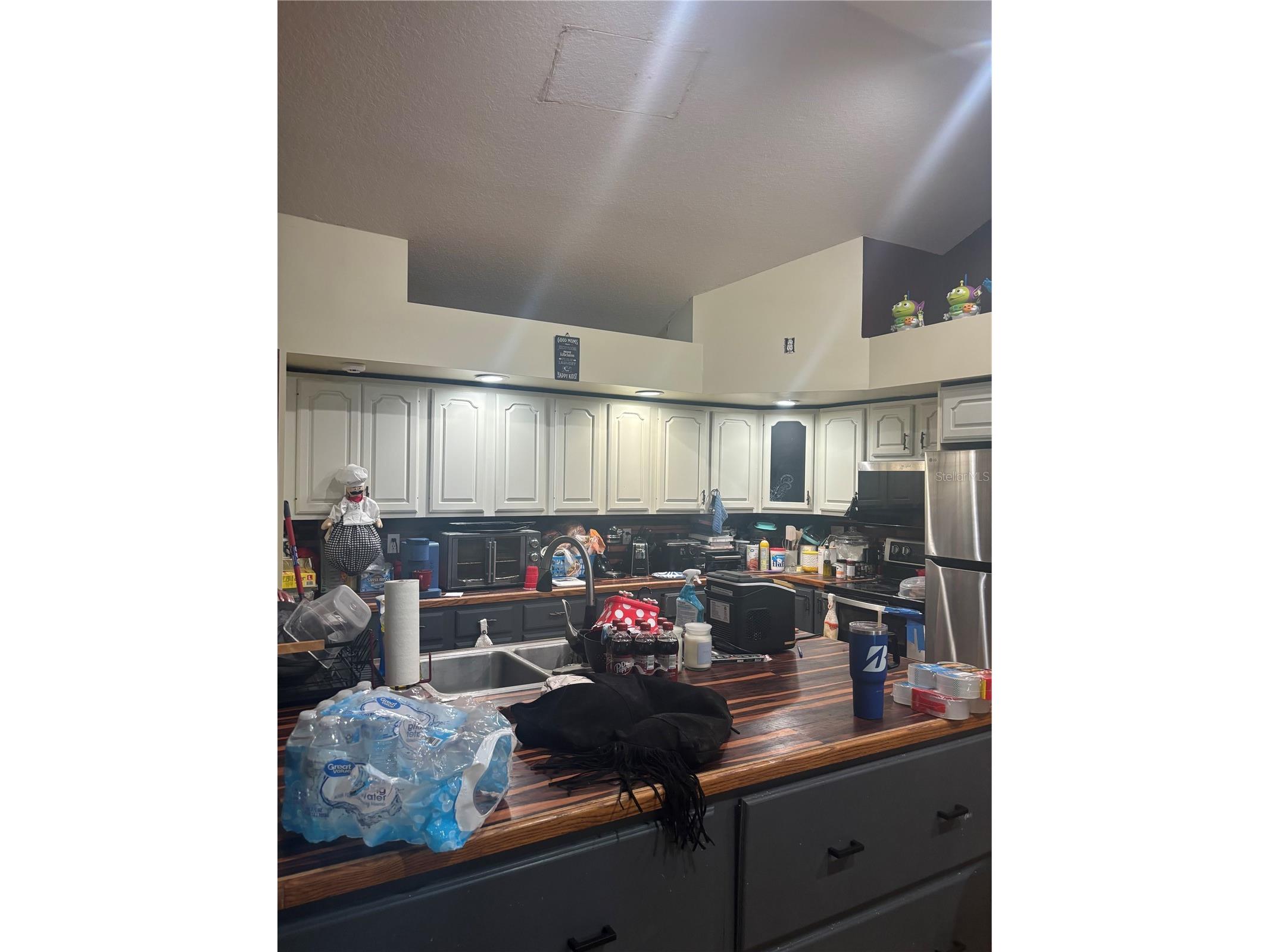 18890 SW 44th Street Dunnellon FL 34432 OM725952 image21
