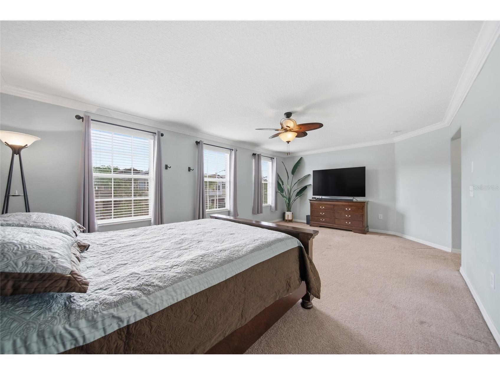 18891 Hampstead Heath Court Land O Lakes FL 34638 TB8503922 image11