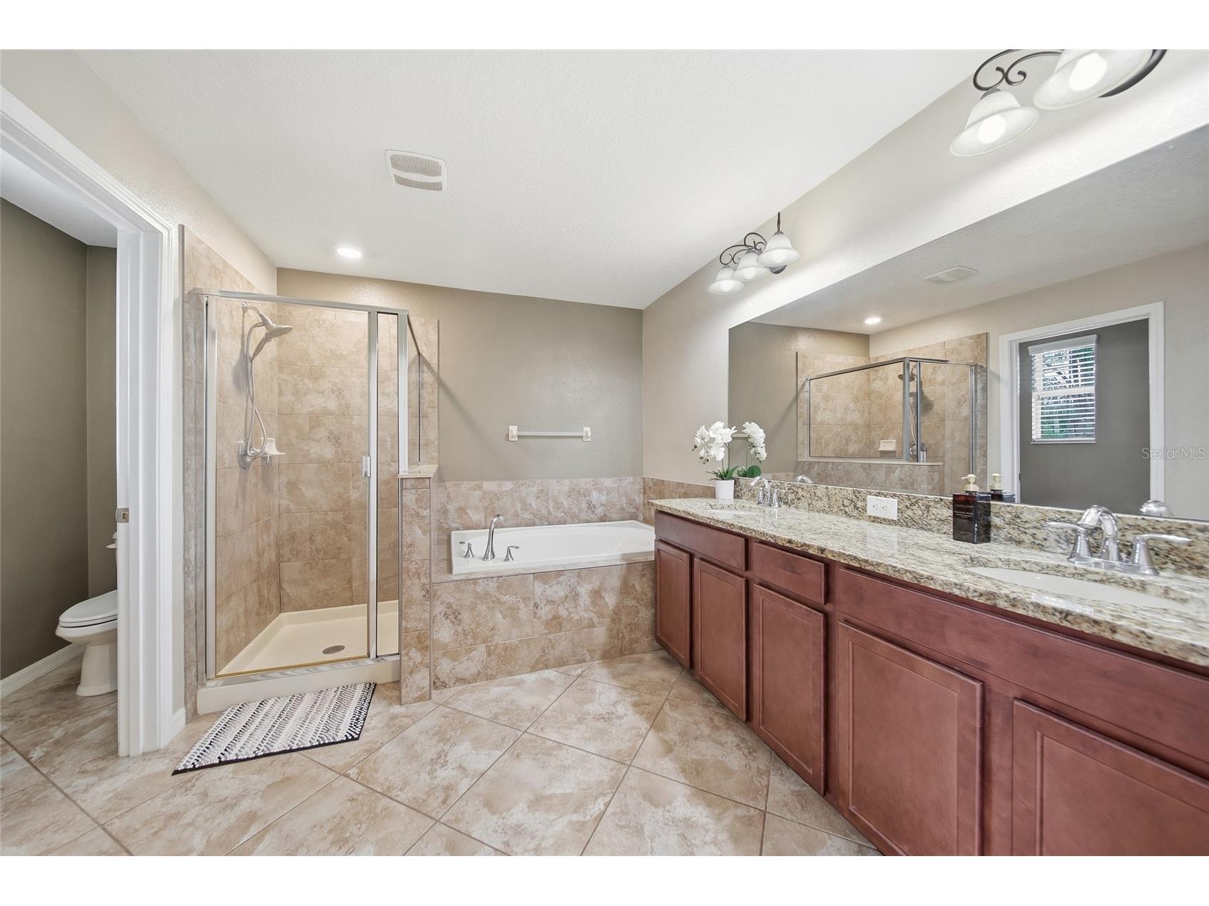 18891 Hampstead Heath Court Land O Lakes FL 34638 TB8503922 image13