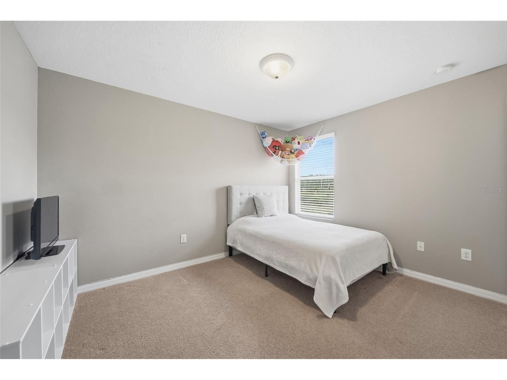18891 Hampstead Heath Court Land O Lakes FL 34638 TB8503922 image17