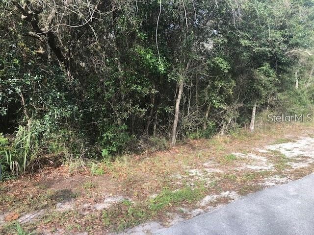 189 Candlewick Avenue Spring Hill FL 34608 W7882293 image1