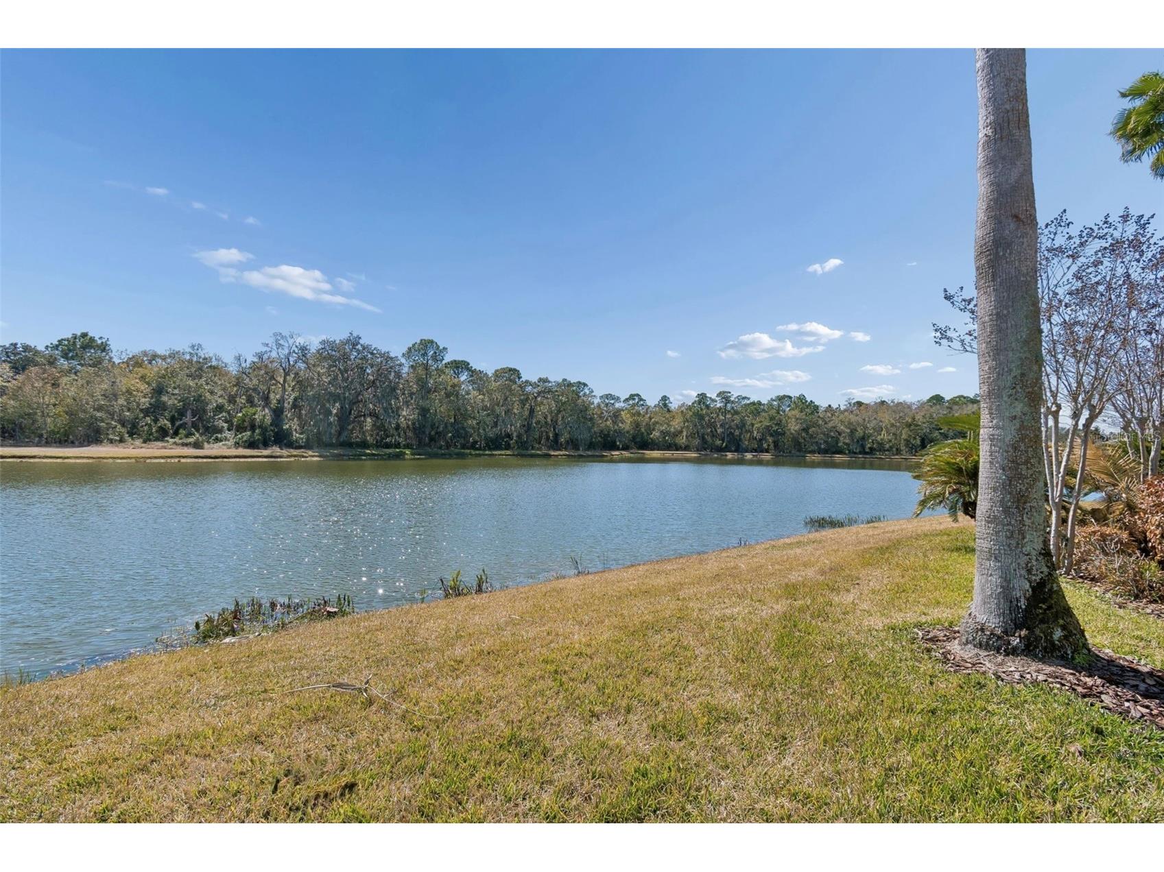 189 Largo Dr Poinciana FL 34759 S5143815 image52