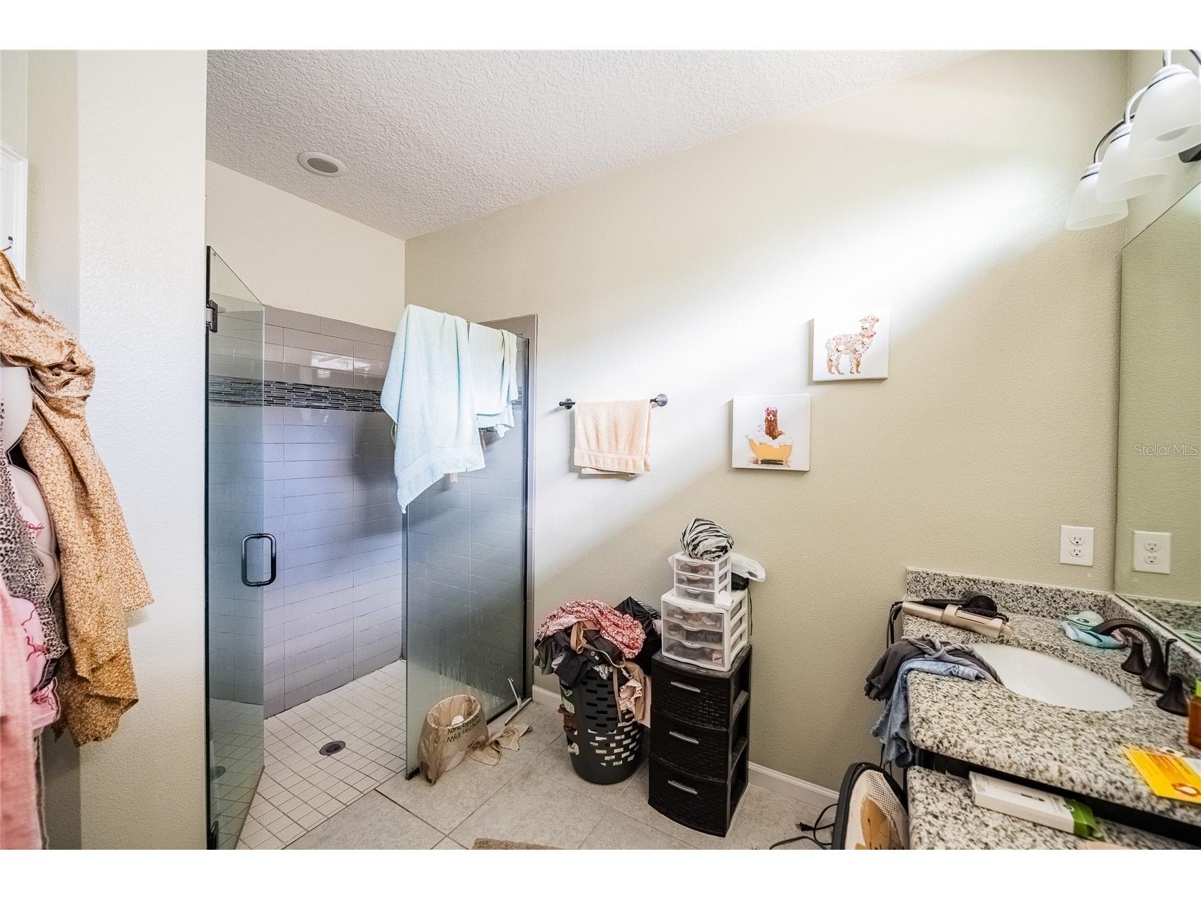 189 Trinity Ridge Circle Davenport FL 33897 TB8504979 image16