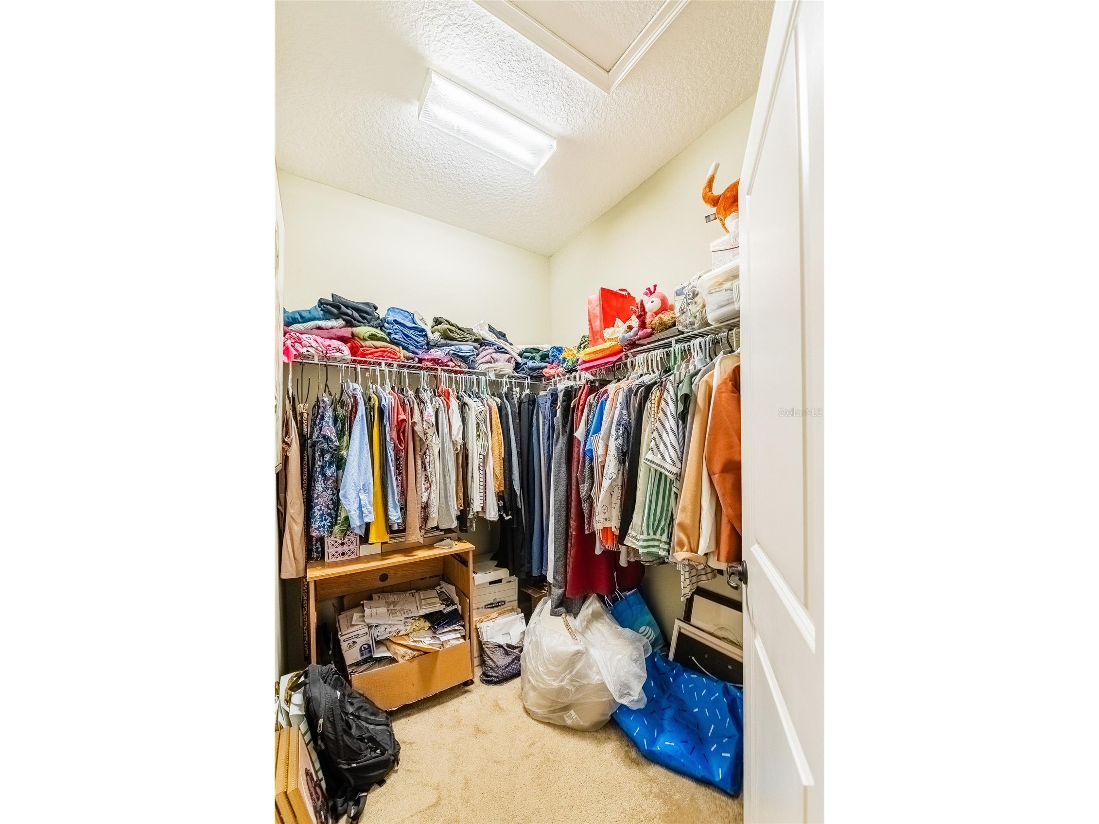 189 Trinity Ridge Circle Davenport FL 33897 TB8504979 image17