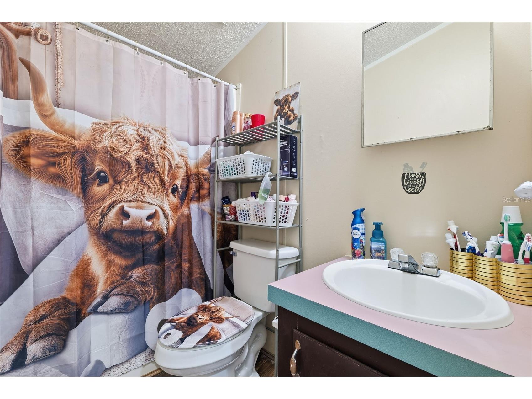 1890 Derosa Road Polk City FL 33868 L4958935 image18