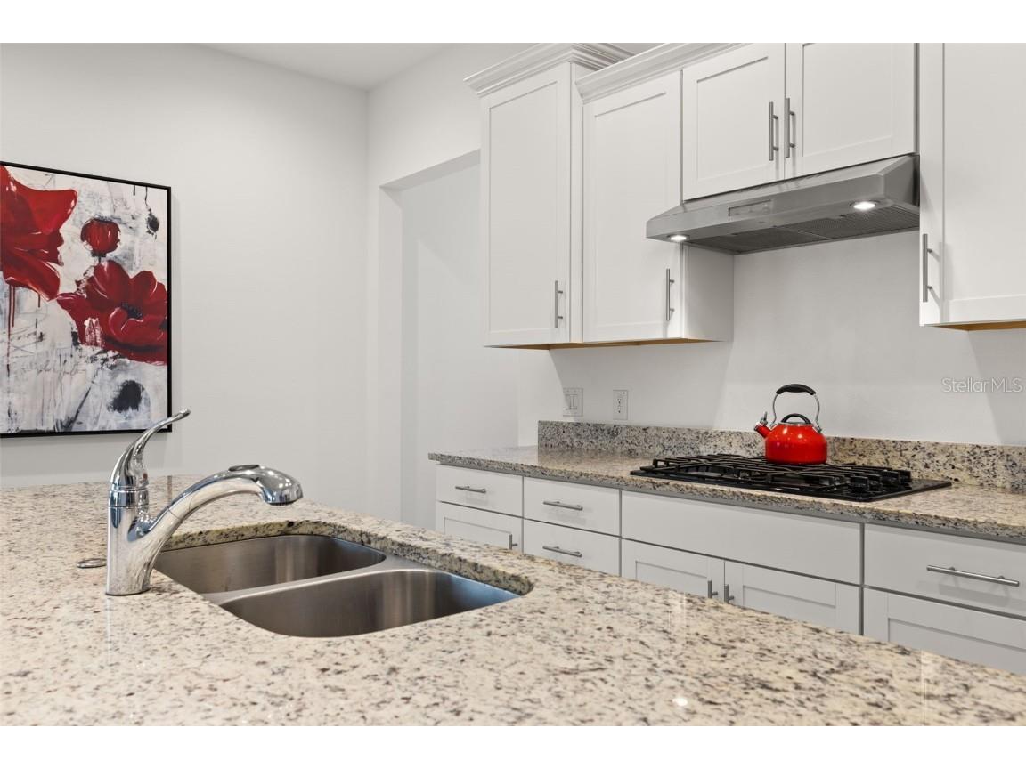 1890 Flora Pass Place Kissimmee FL 34747 TB8392113 image10