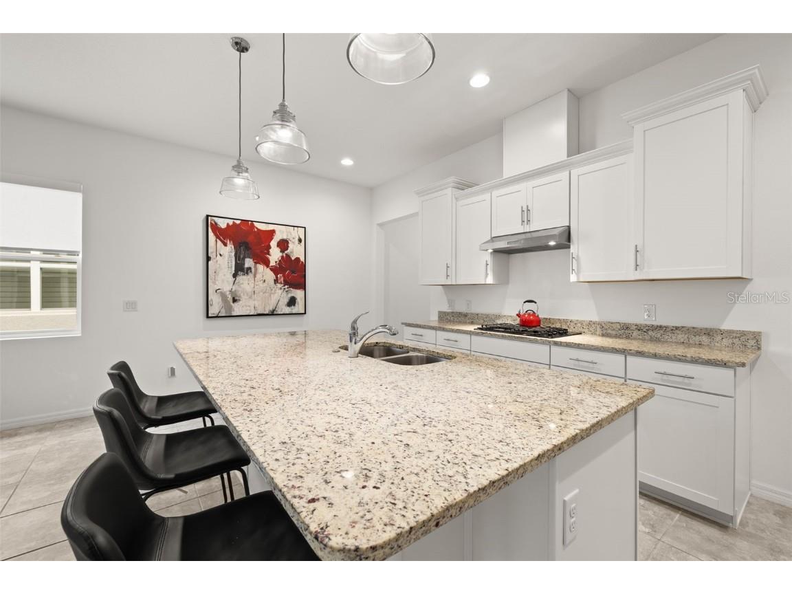 1890 Flora Pass Place Kissimmee FL 34747 TB8392113 image8