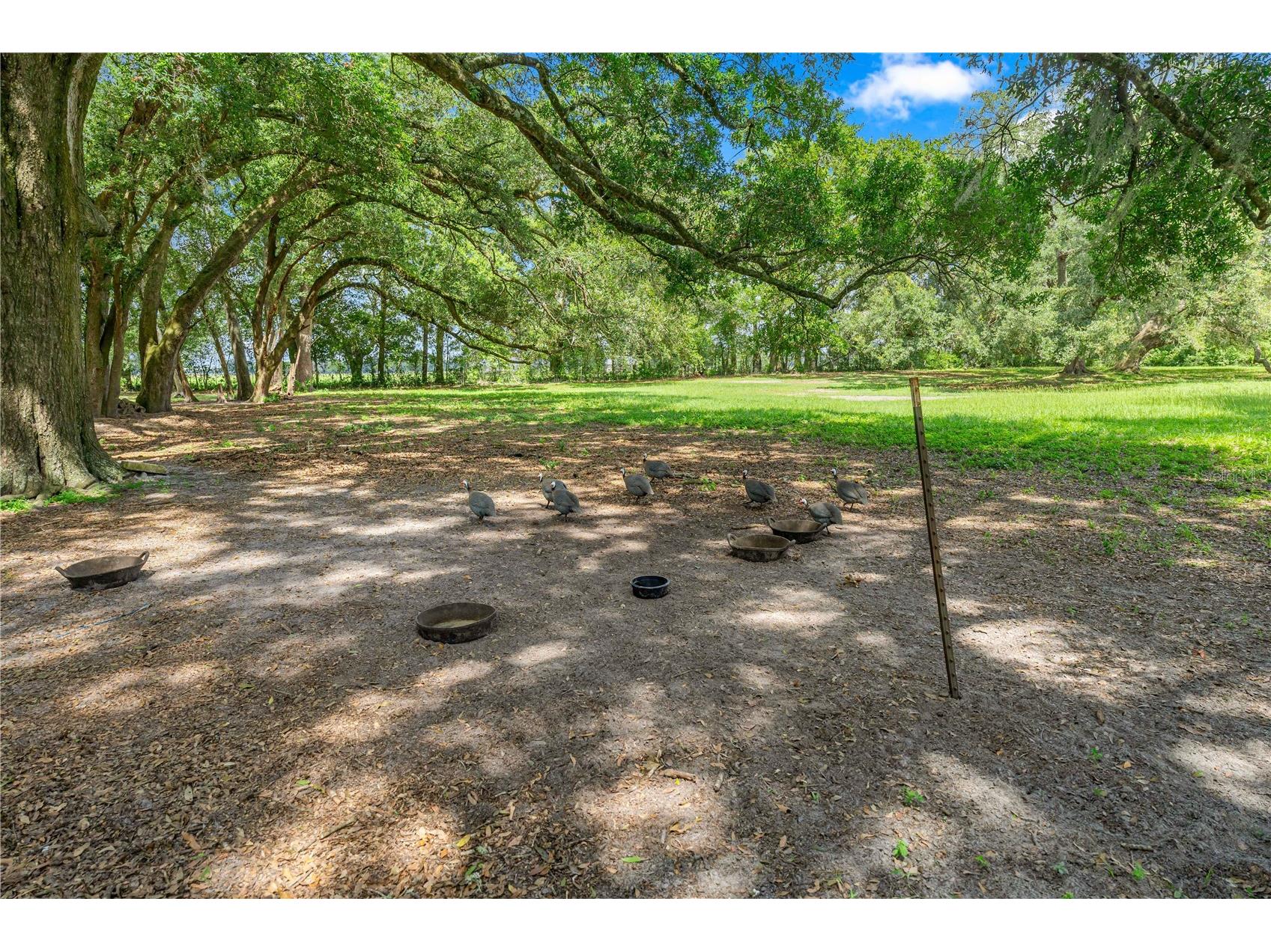 1890 NW 167th Place Trenton FL 32693 GC541697 image15