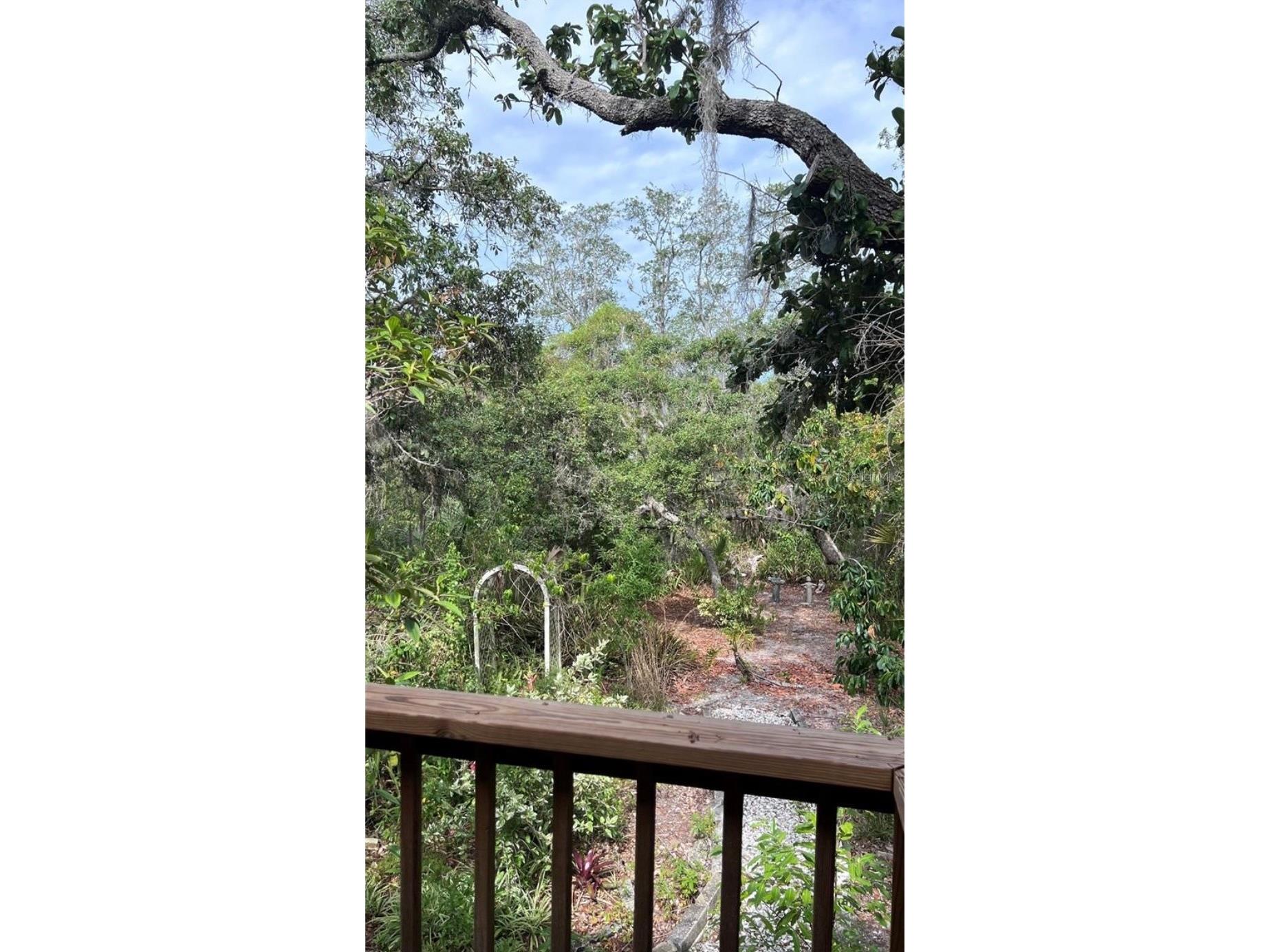 1890 Whispering Way #1890 Tarpon Springs FL 34689 W7883287 image14