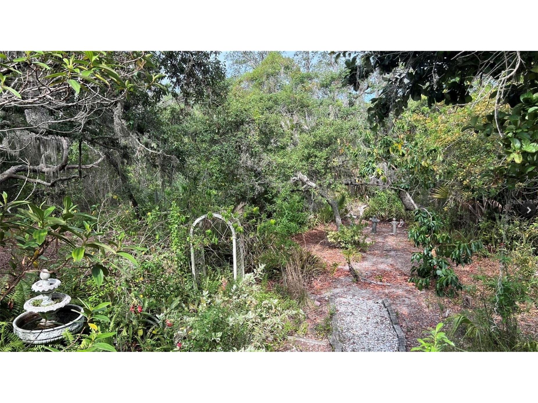 1890 Whispering Way #1890 Tarpon Springs FL 34689 W7883287 image17
