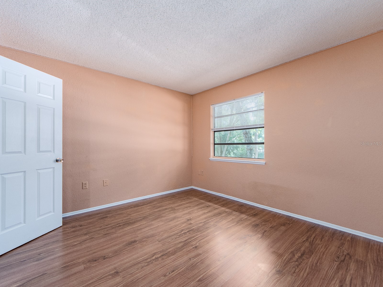 1890 Wolford Road #14 Clearwater FL 33760 TB8511393 image19