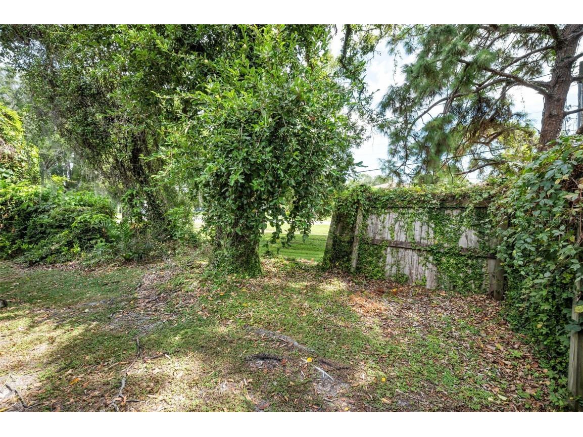 1890 Wolford Road #3 Clearwater FL 33760 TB8439454 image39