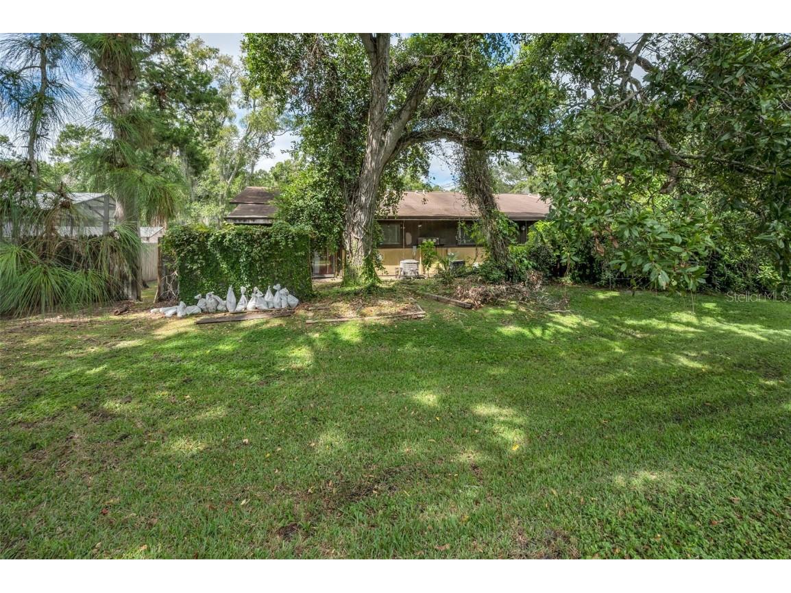 1890 Wolford Road #3 Clearwater FL 33760 TB8439454 image44