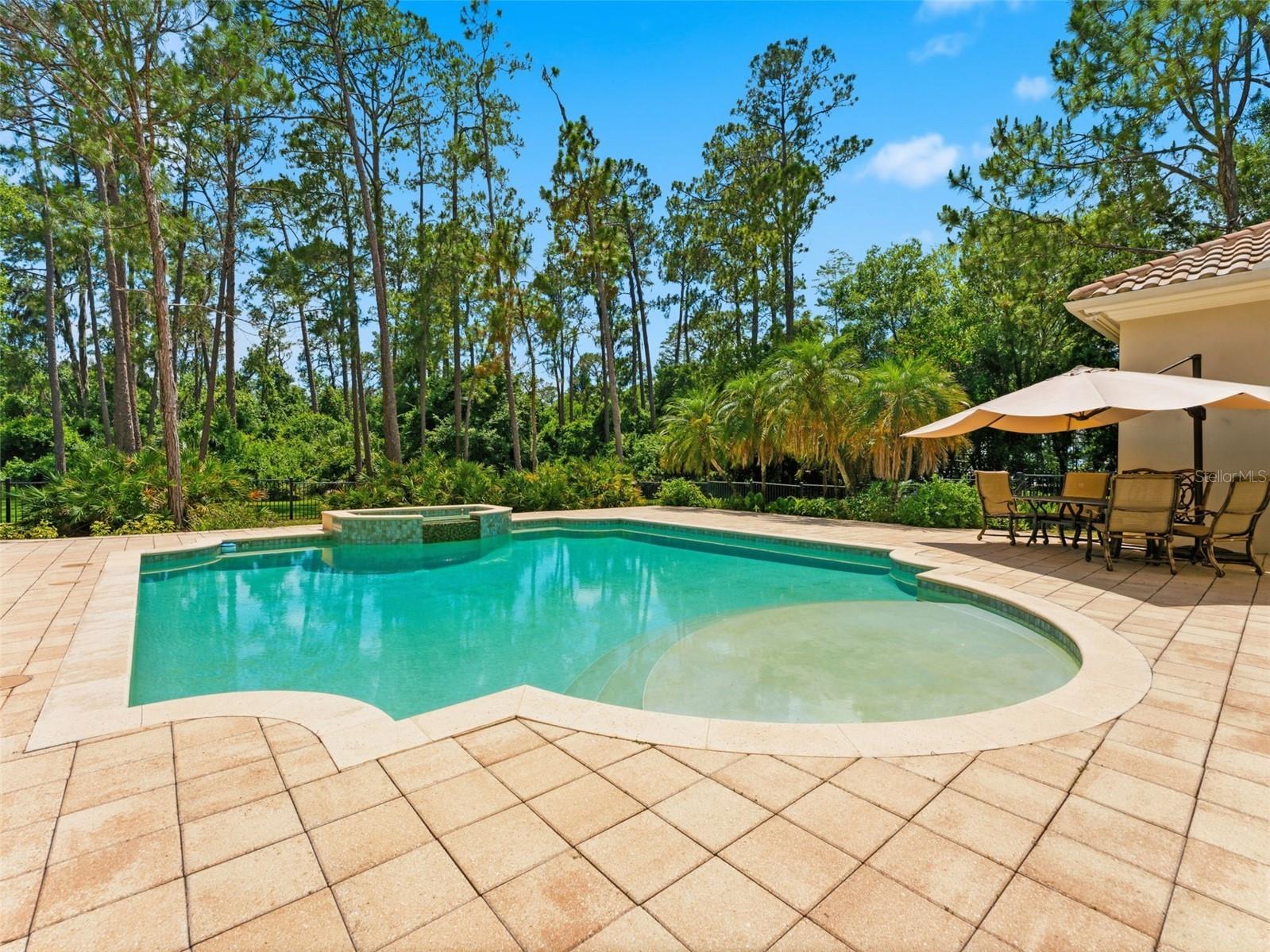 18901 Lakes Edge Way Odessa FL 33556 TB8507179 image53