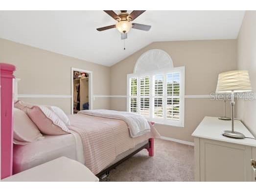 18901 Saint Laurent Drive Lutz FL 33558 TB8509536 image31