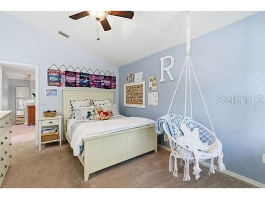 18901 Saint Laurent Drive Lutz FL 33558 TB8509536 image35