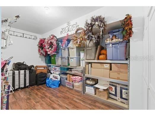 18901 Saint Laurent Drive Lutz FL 33558 TB8509536 image39