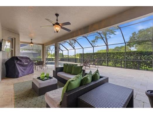 18901 Saint Laurent Drive Lutz FL 33558 TB8509536 image42