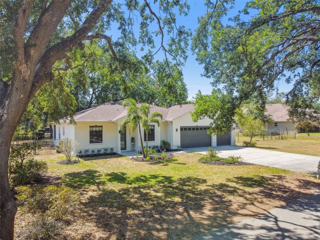 18902 Spring Hollow Drive Lutz FL 33559 TB8381956 image1