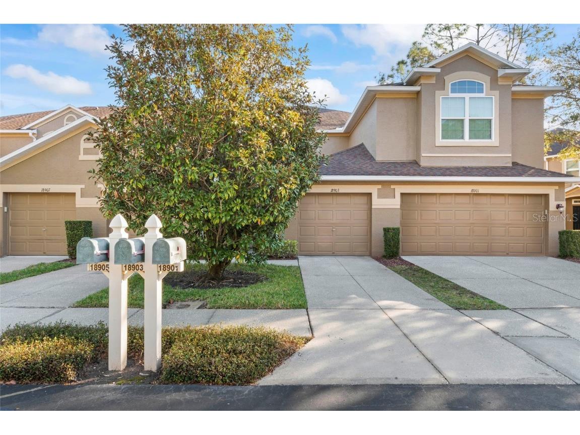 18903 Duquesne Drive Tampa FL 33647 TB8357056 image1