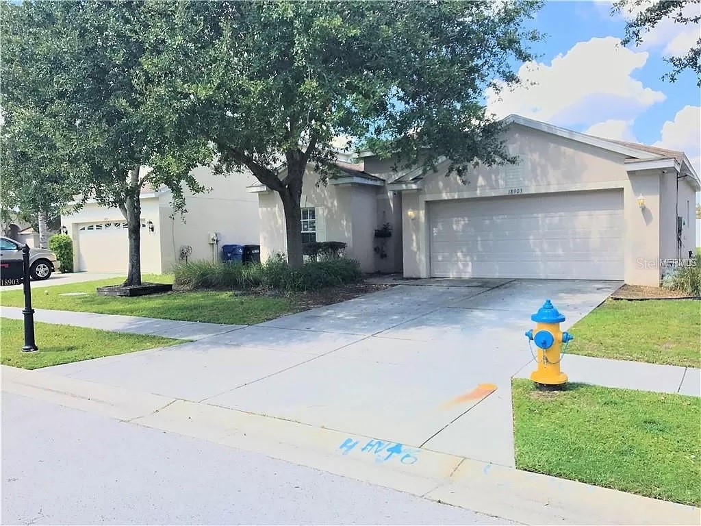 18903 Quarry Badger Road Land O Lakes FL 34638 T3486936 image1