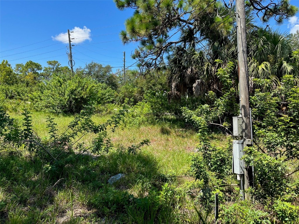 18904 Craig Loop Hudson FL 34667 U8229736 image10