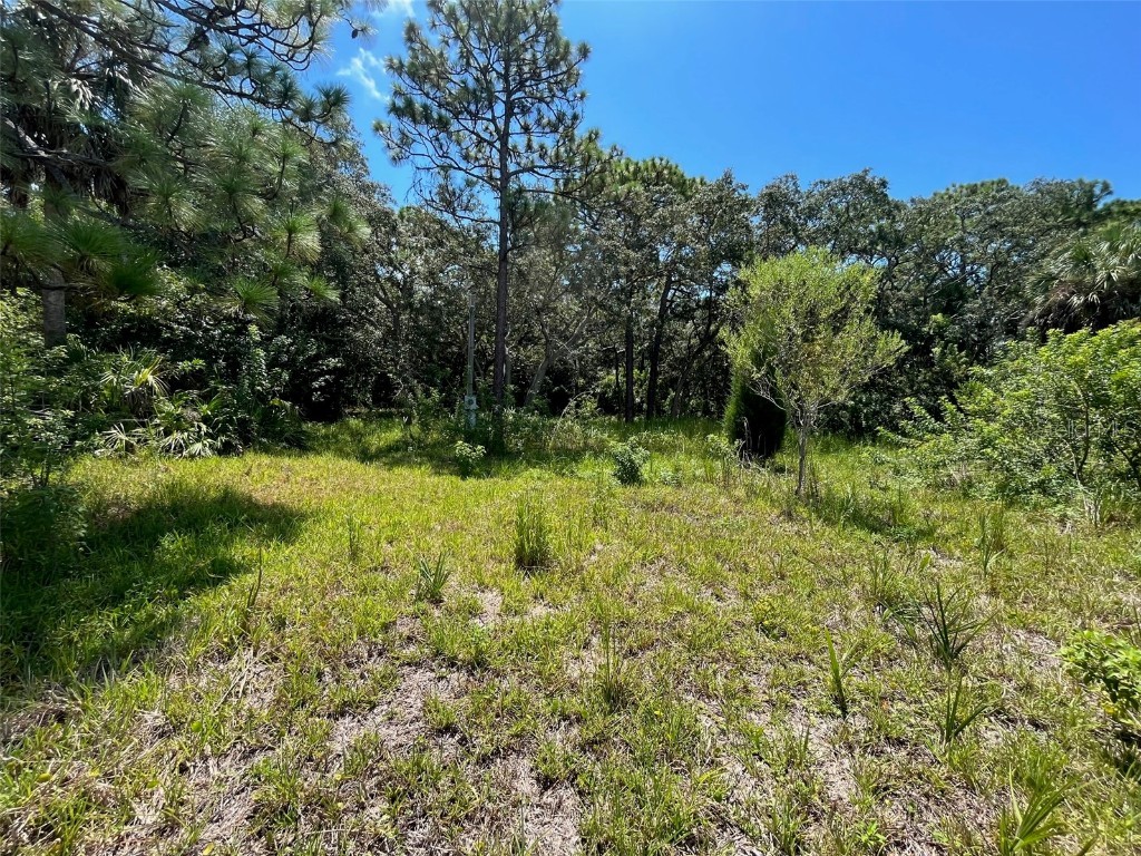 18904 Craig Loop Hudson FL 34667 U8229736 image8