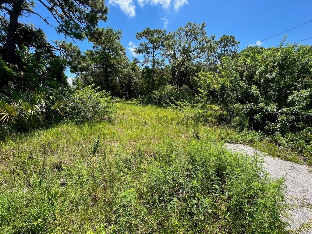 18904 Craig Loop Hudson FL 34667 U8229736 image9