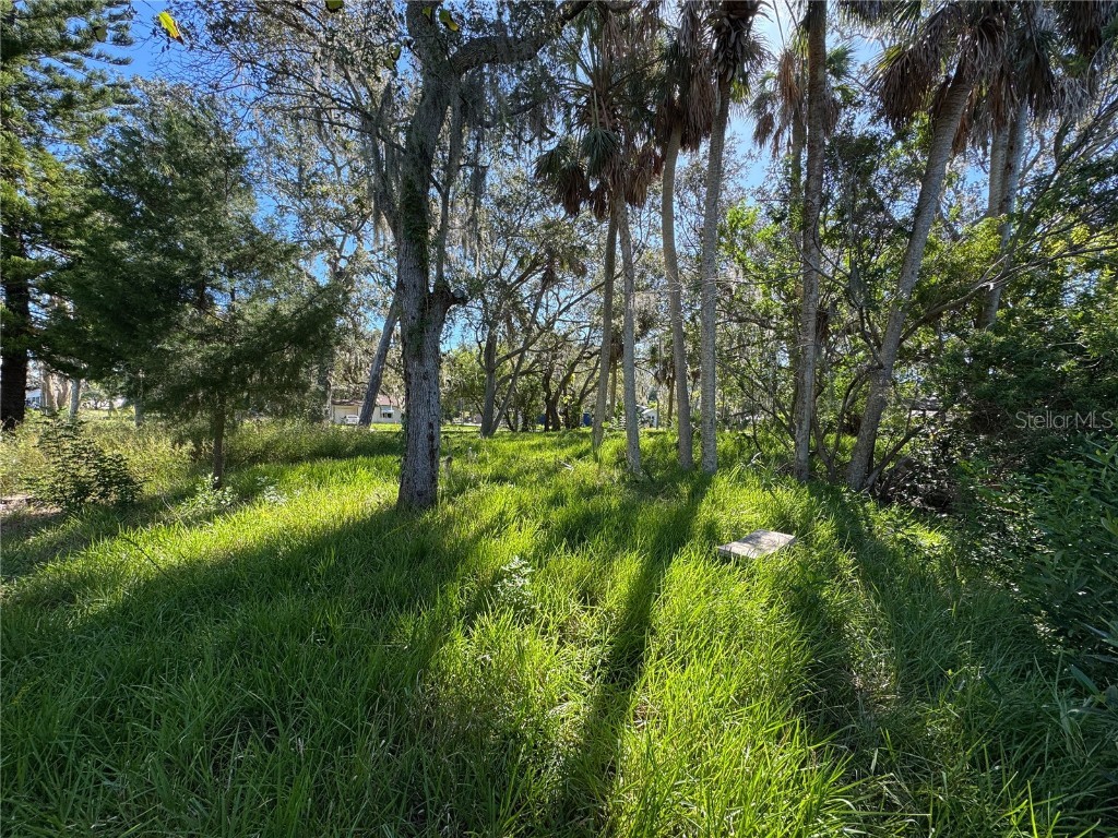 18905 Aripeka Road Hudson FL 34667 TB8434285 image10