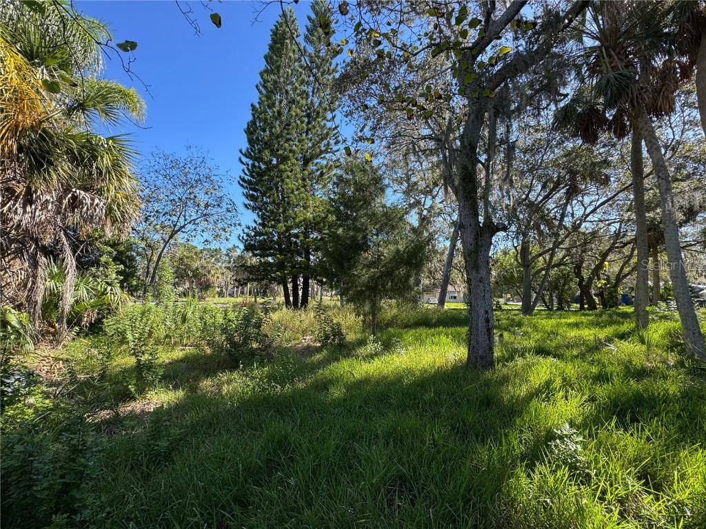 18905 Aripeka Road Hudson FL 34667 TB8434285 image11