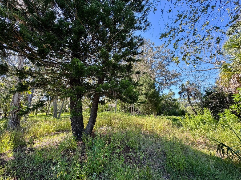 18905 Aripeka Road Hudson FL 34667 TB8434285 image12