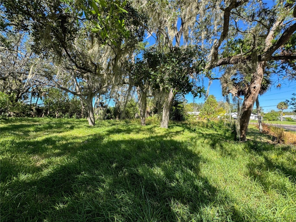 18905 Aripeka Road Hudson FL 34667 TB8434285 image5