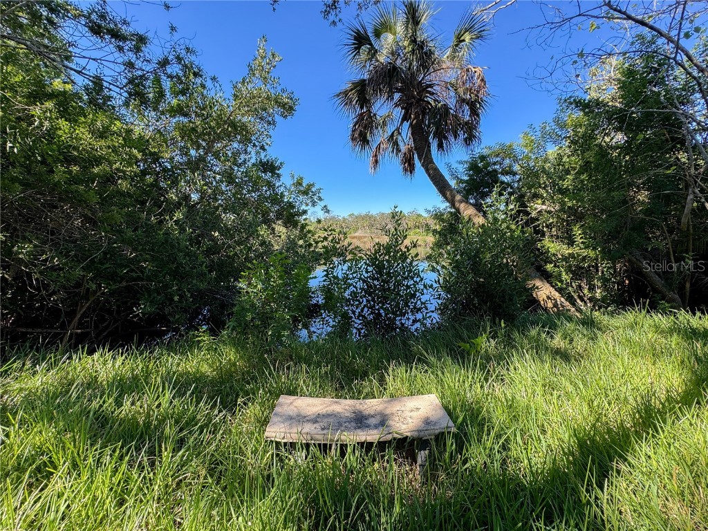 18905 Aripeka Road Hudson FL 34667 TB8434285 image6