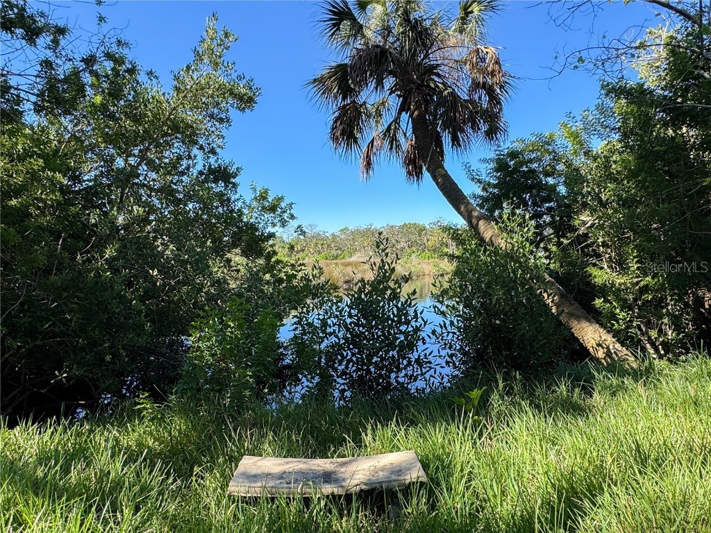 18905 Aripeka Road Hudson FL 34667 TB8434285 image7