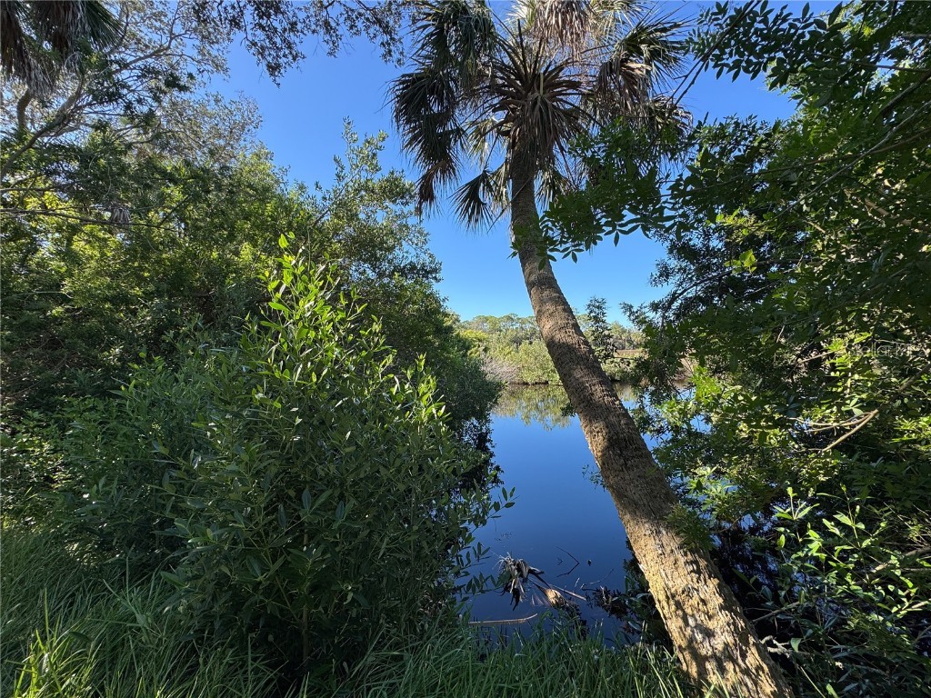 18905 Aripeka Road Hudson FL 34667 TB8434285 image8
