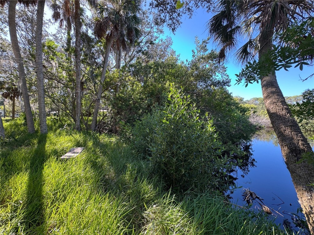 18905 Aripeka Road Hudson FL 34667 TB8434285 image9