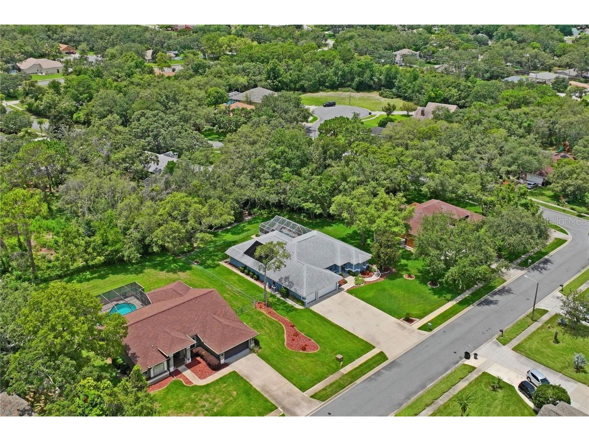 18905 Bascomb Lane Hudson FL 34667 W7877145 image71