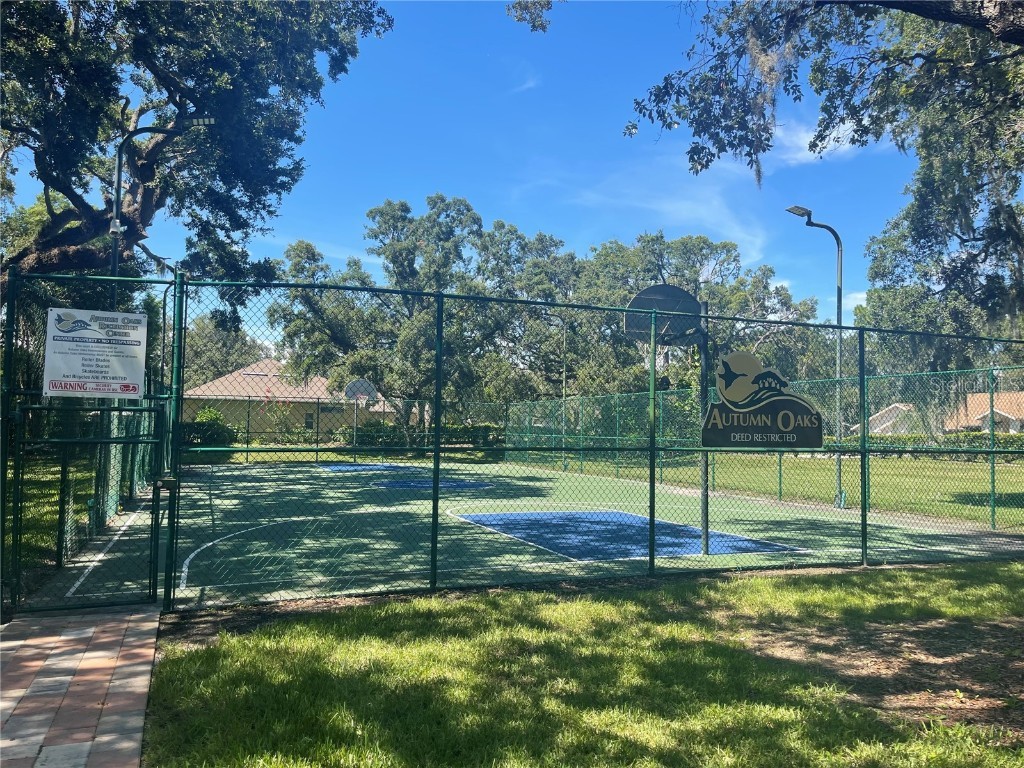 18905 Bascomb Lane Hudson FL 34667 W7877145 image77