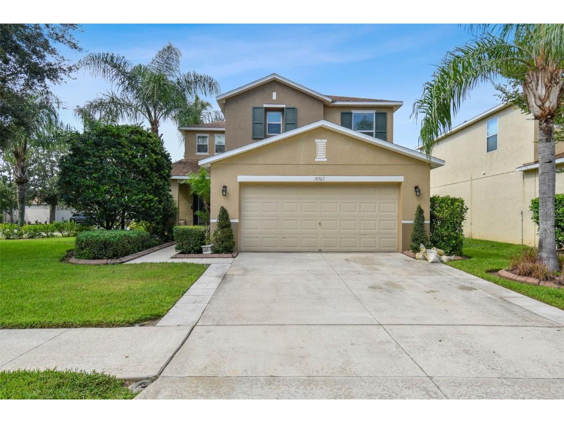 18907 Randall Place Land O Lakes FL 34638 T3463649 image1