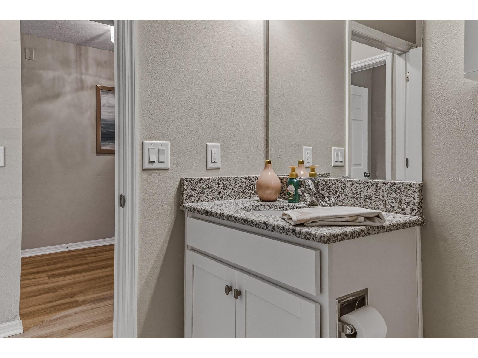 18908 Alfaro Loop Spring Hill FL 34610 TB8497607 image23