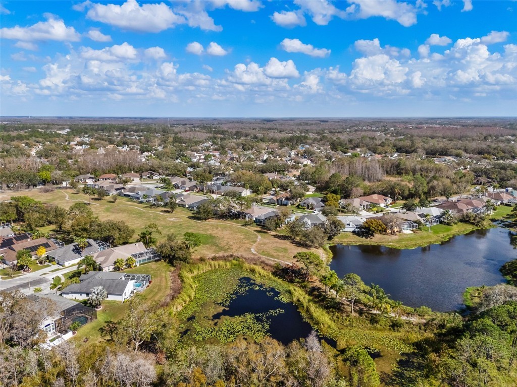 18908 Fairwood Court Tampa FL 33647 TB8406973 image58