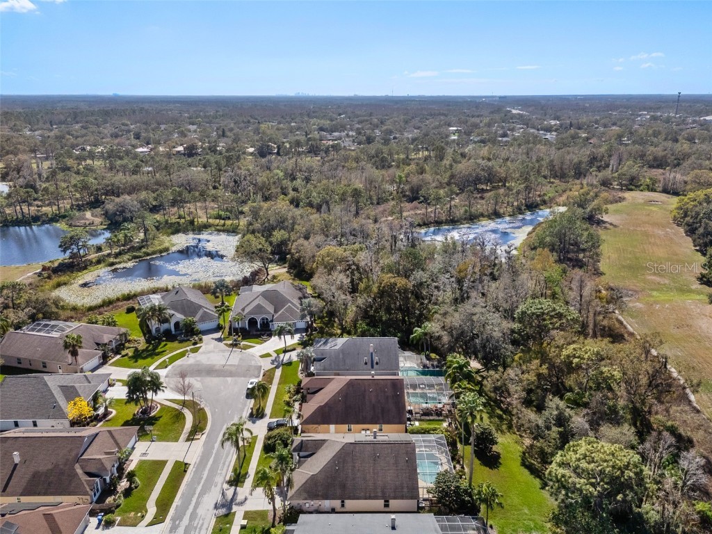 18908 Fairwood Court Tampa FL 33647 TB8406973 image6