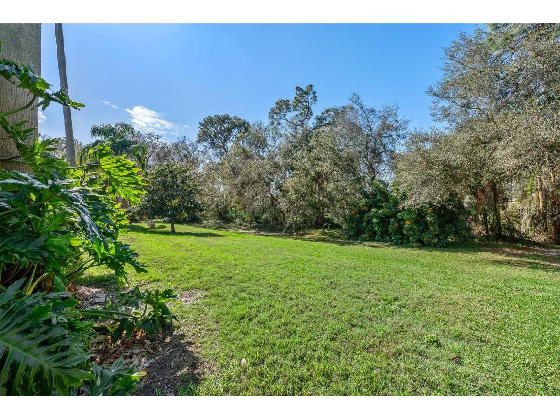 18908 Fairwood Court Tampa FL 33647 TB8406973 image60