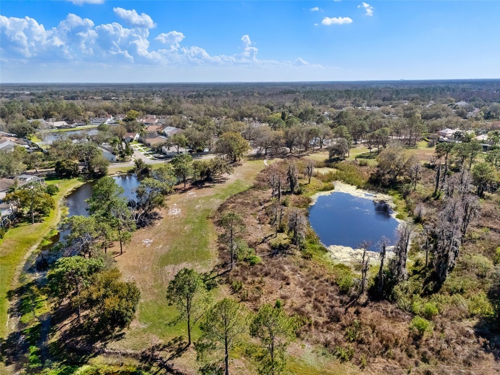 18908 Fairwood Court Tampa FL 33647 TB8406973 image63