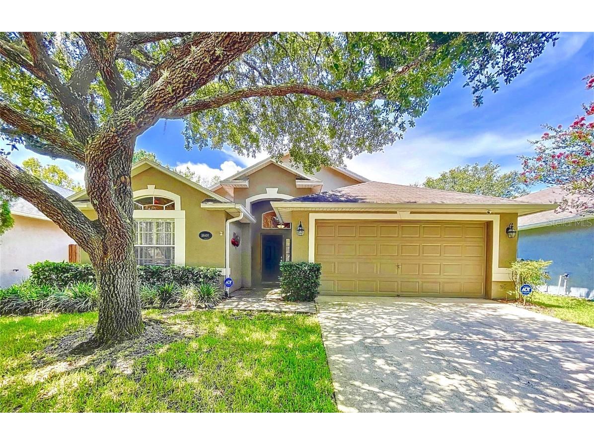 18908 Nest Fern Circle Tampa FL 33647 U8210458 image1