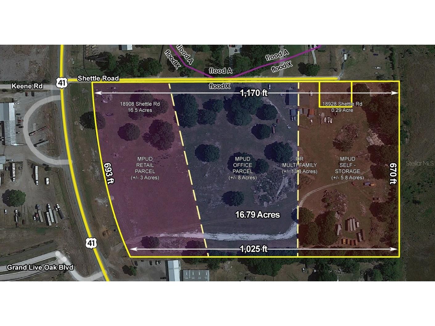 18908 Shettle Road Land O Lakes FL 34637 W7842370 image1