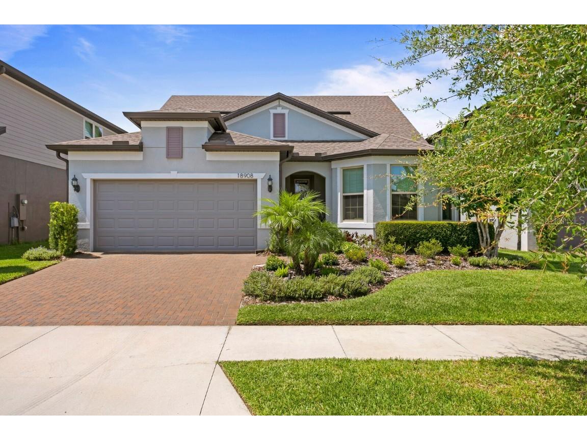 18908 Willowmore Cedar Drive Lutz FL 33558 T3455501 image1