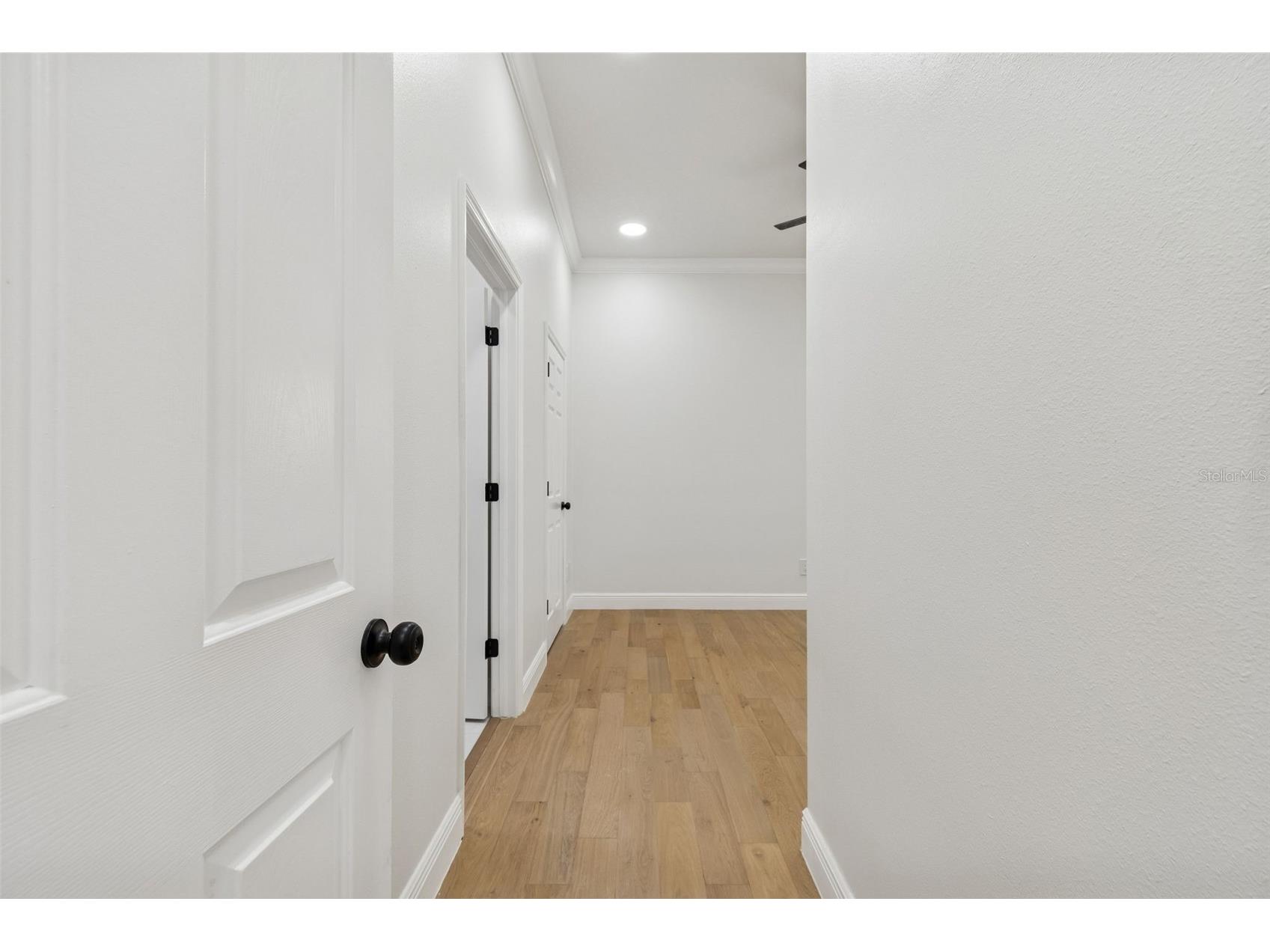 18909 Apian Way Lutz FL 33558 TB8472125 image28